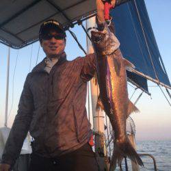 ＴＡＲＯＭＡＲＵ 釣果