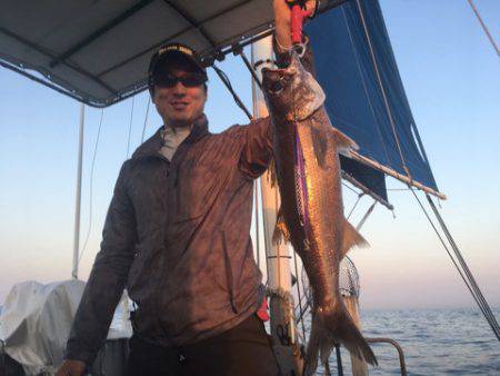 ＴＡＲＯＭＡＲＵ 釣果