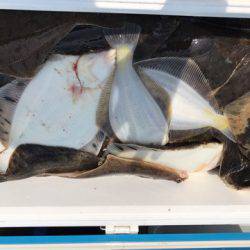 第二　つれたか丸 釣果