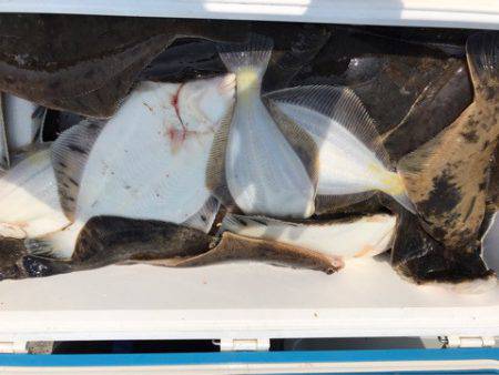 第二　つれたか丸 釣果