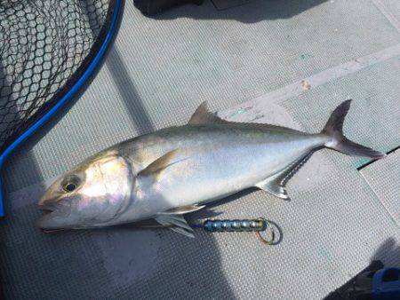 ＴＡＲＯＭＡＲＵ 釣果