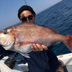 エヌスタイル 釣果