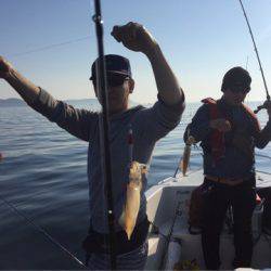 「LaGooN」蒼陽丸 日和号 釣果