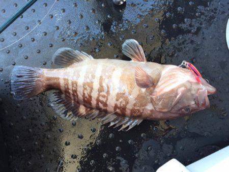 第二龍勢丸 釣果