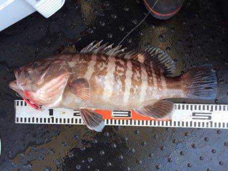 第二龍勢丸 釣果