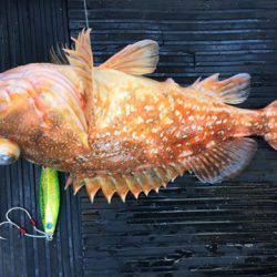 第二龍勢丸 釣果