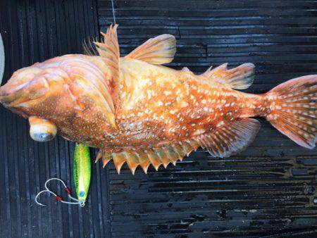 第二龍勢丸 釣果