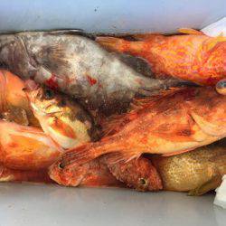 第二龍勢丸 釣果