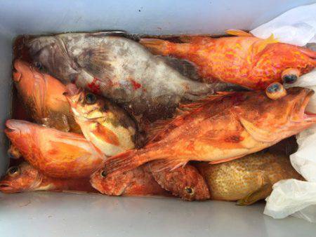 第二龍勢丸 釣果