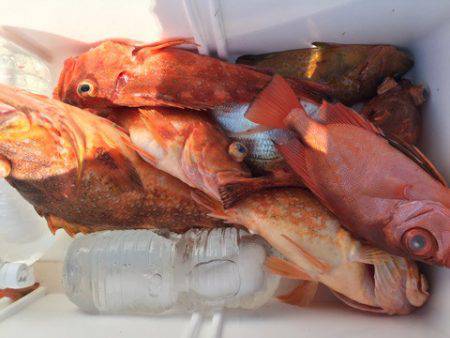 第二龍勢丸 釣果