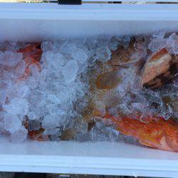 第二龍勢丸 釣果