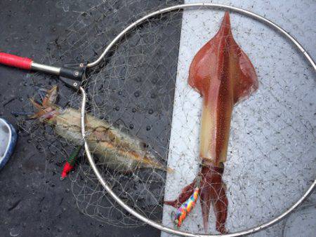 第二龍勢丸 釣果