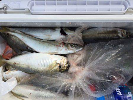 第二龍勢丸 釣果