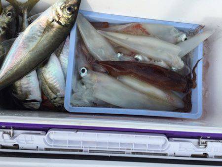 第二龍勢丸 釣果