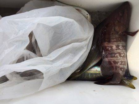 第二龍勢丸 釣果