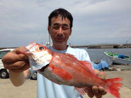 晃山丸 釣果