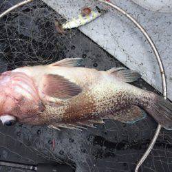 第二龍勢丸 釣果