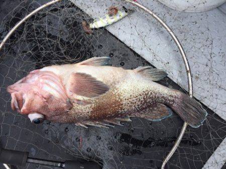 第二龍勢丸 釣果