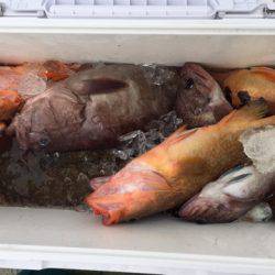 第二龍勢丸 釣果