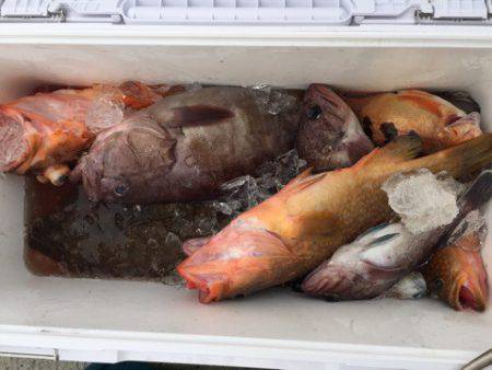 第二龍勢丸 釣果