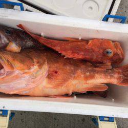 第二龍勢丸 釣果