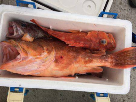 第二龍勢丸 釣果