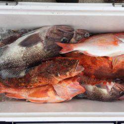 第二龍勢丸 釣果