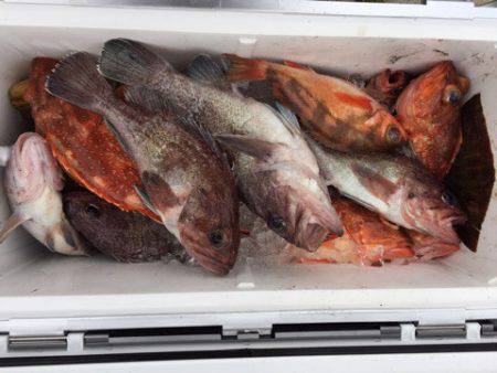 第二龍勢丸 釣果