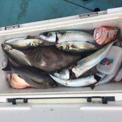 丸万釣船 釣果