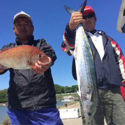 ぽん助丸 釣果