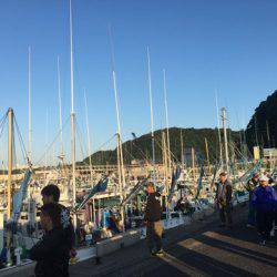 ＴＡＲＯＭＡＲＵ 釣果