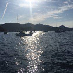 ＴＡＲＯＭＡＲＵ 釣果