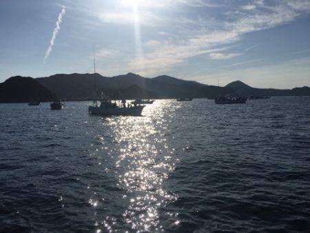 ＴＡＲＯＭＡＲＵ 釣果