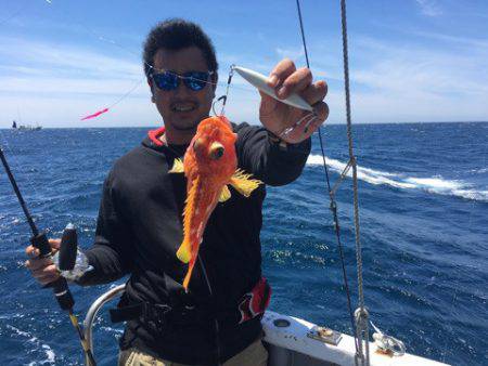 ＴＡＲＯＭＡＲＵ 釣果