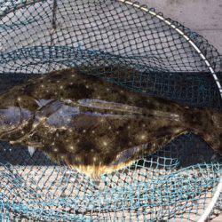 第二龍勢丸 釣果