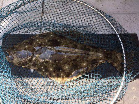 第二龍勢丸 釣果