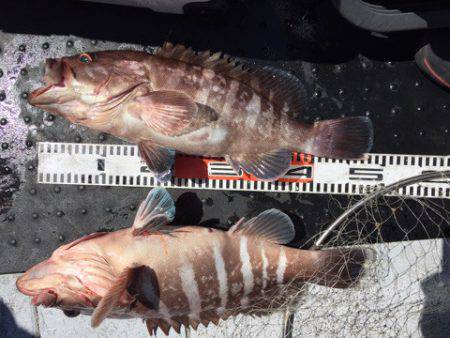 第二龍勢丸 釣果