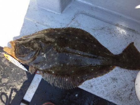 第二龍勢丸 釣果