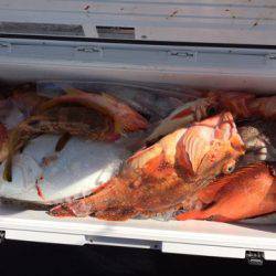 第二龍勢丸 釣果