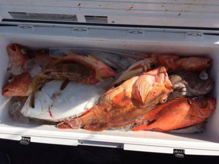 第二龍勢丸 釣果