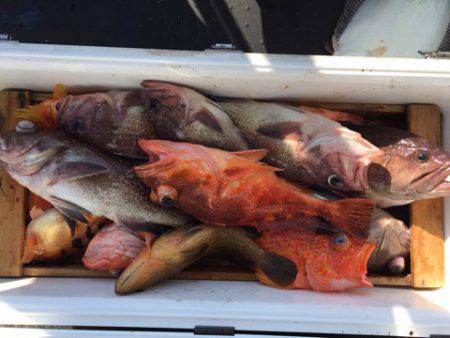 第二龍勢丸 釣果