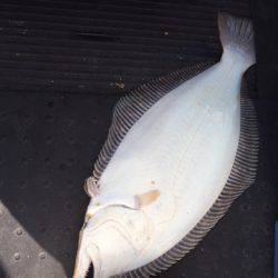 第二龍勢丸 釣果