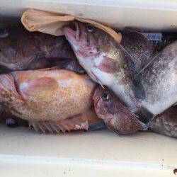 第二龍勢丸 釣果