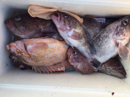 第二龍勢丸 釣果