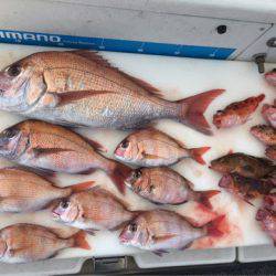 末広丸(熊本) 釣果