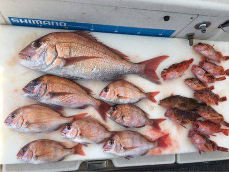 末広丸(熊本) 釣果