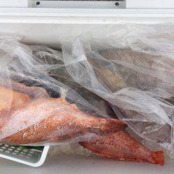 第二龍勢丸 釣果