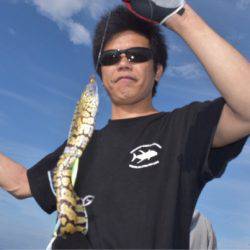 渡船屋たにぐち 釣果