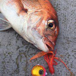 第二 海洋丸 釣果