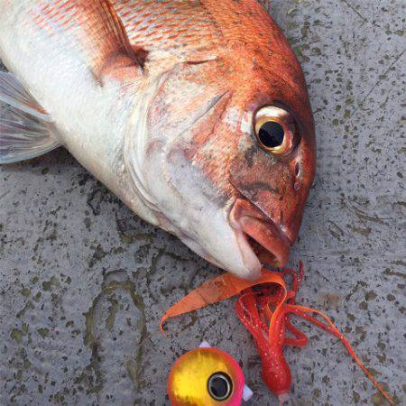 第二 海洋丸 釣果